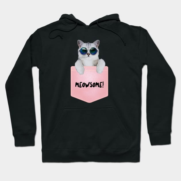 Cat Lovers, Meowsome, Cat Sassy Design, Cat Teeshirt Hoodie by Utopia Shop